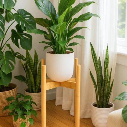 plant stand with lush indoor greenery such as Monstera, Snake Plant, and Pothos. a serene, stylish, and cozy apartment vibe. natural light is pouring in from large windows with soft-filtered curtains.