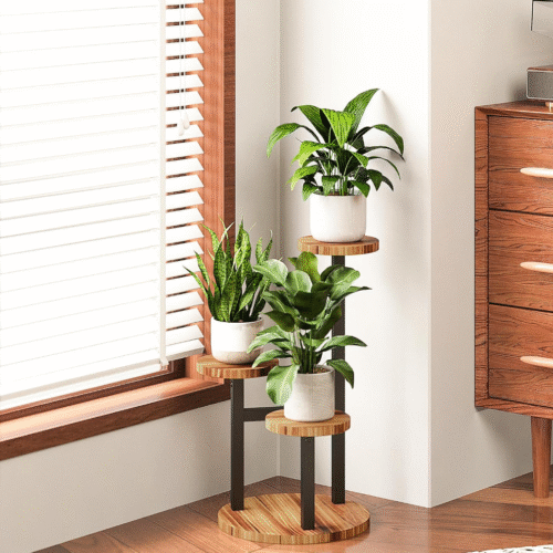 3-Tier Plant Stand in sunlit corner