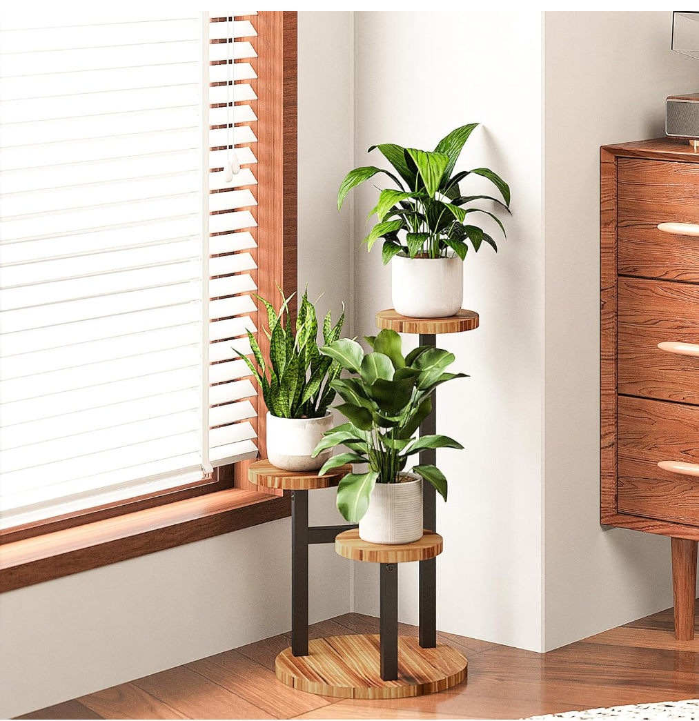 3-Tier Plant Stand in sunlit corner