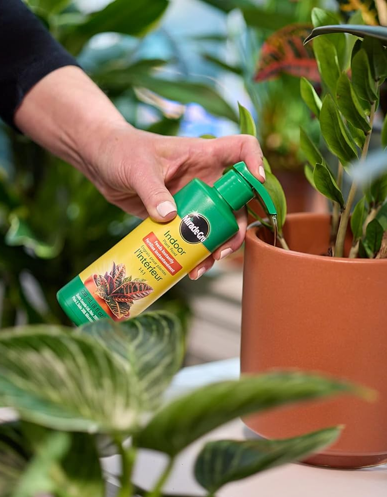 Miracle-Gro Indoor Plant Food—a fast-acting liquid fertilizer designed to support lush growth, vibrant leaves, and strong roots.