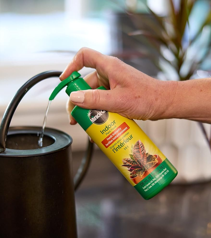 Miracle-Gro Indoor Plant Food 236ml – Quick-Feed Liquid Fertilizer for Houseplants