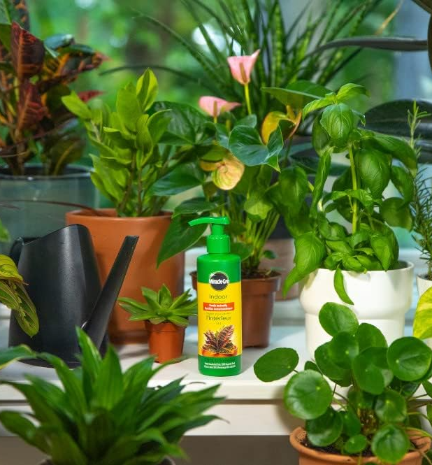Miracle-Gro Indoor Plant Food 236ml – Quick-Feed Liquid Fertilizer for Houseplants