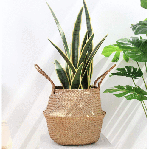 Boho Plant Pot Cover for Natural Styling