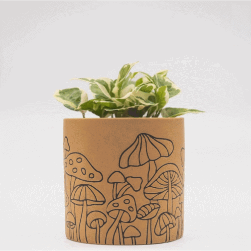Terracotta-Style Boho Planter || Whimsical Mushroom Design || 4.5” Decorative Pot for Small Plants or Cuttings