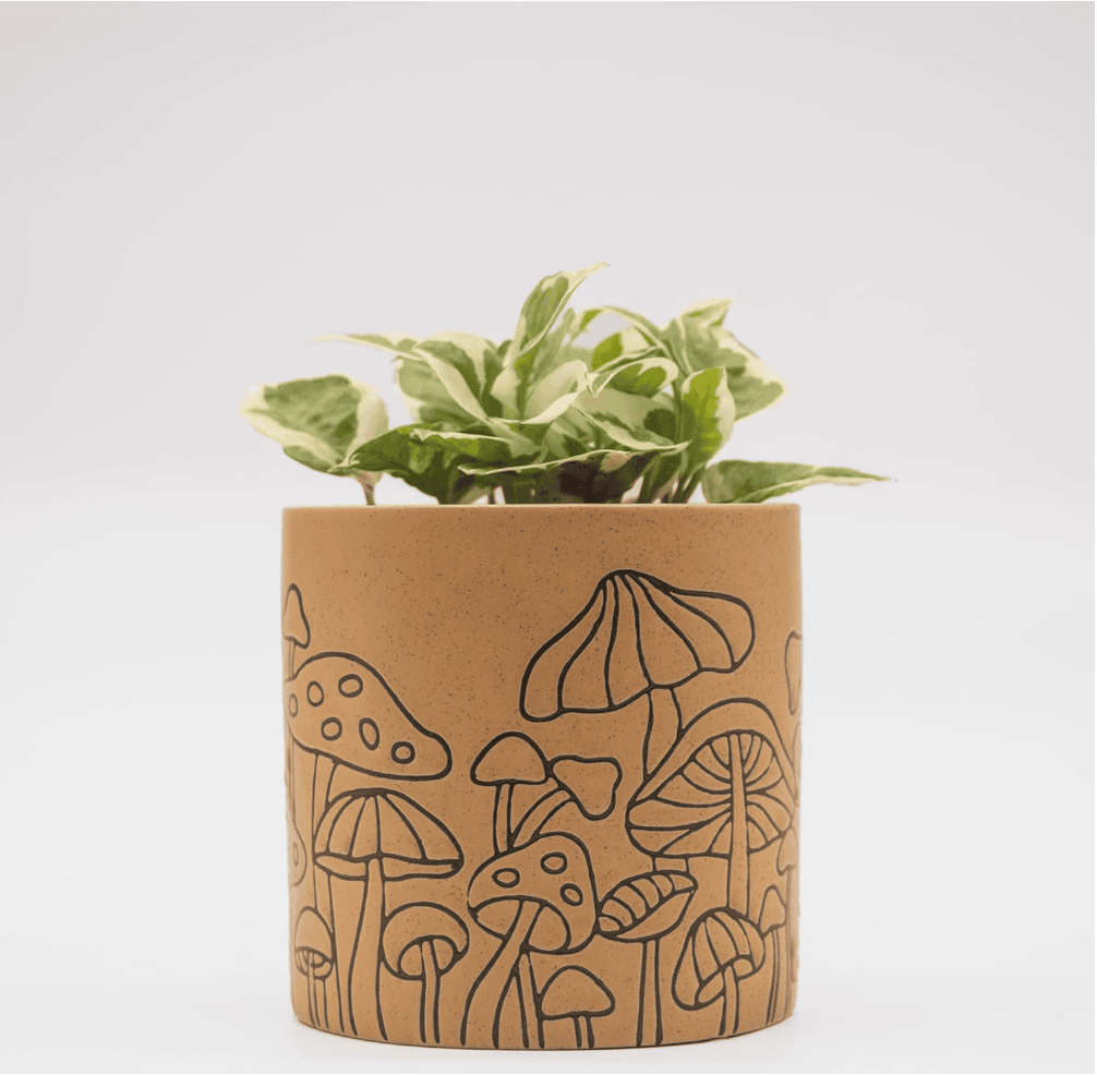 Terracotta-Style Boho Planter || Whimsical Mushroom Design Terracotta-Style Boho Planter || Whimsical Mushroom Design || 4.5” Decorative Pot for Small Plants or Cuttings