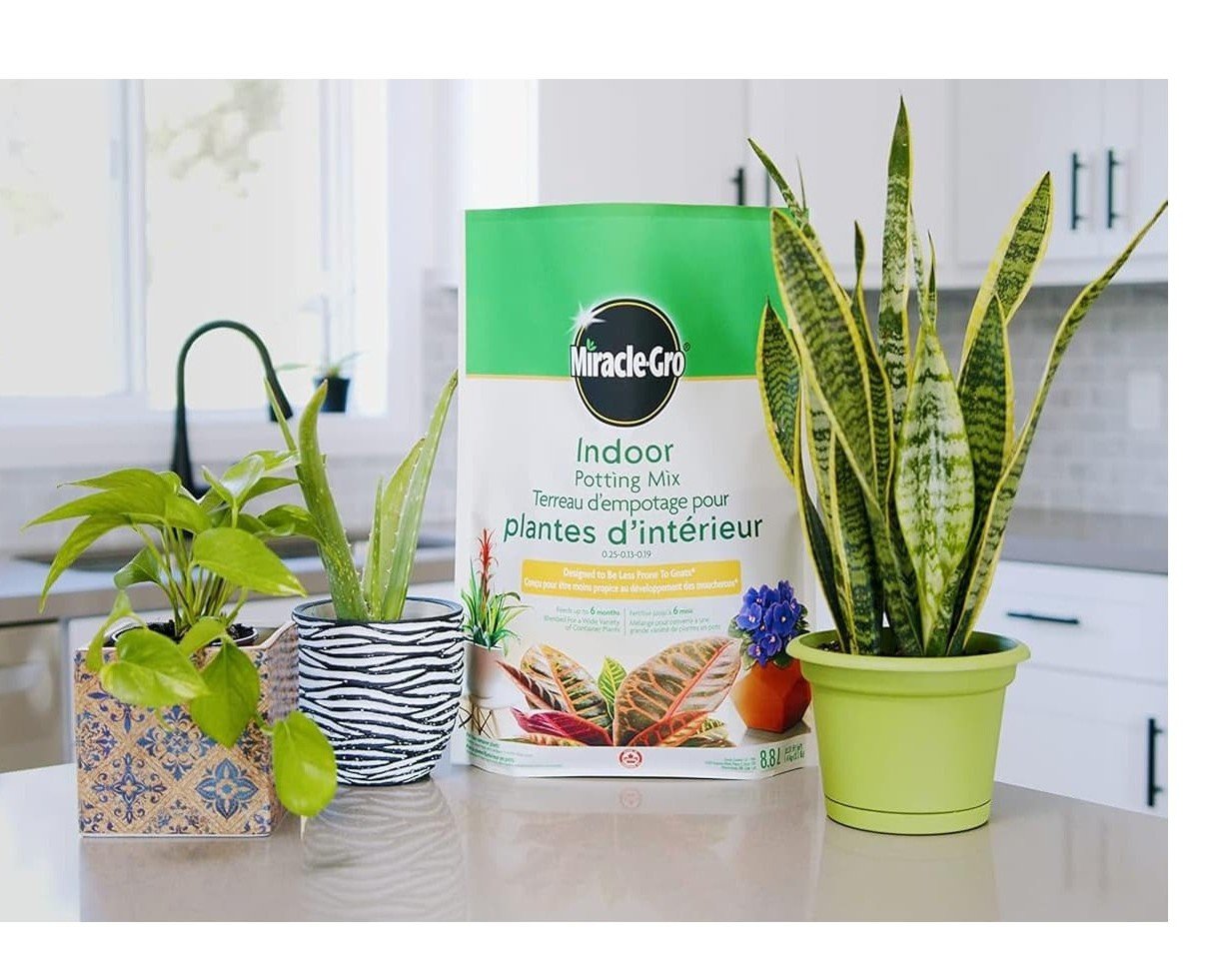 Miracle-Gro Indoor Potting Mix 8.8L Miracle-Gro Indoor Potting Mix 8.8L soil for indoor houseplants
