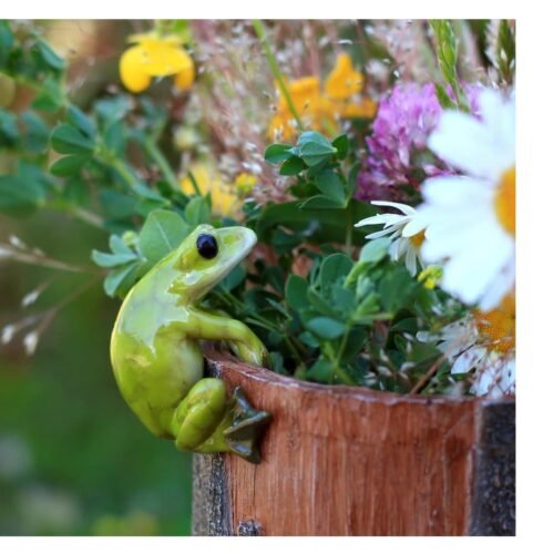 Plant shelf accessories fairy garden decor piece. frog plant and vase hugger