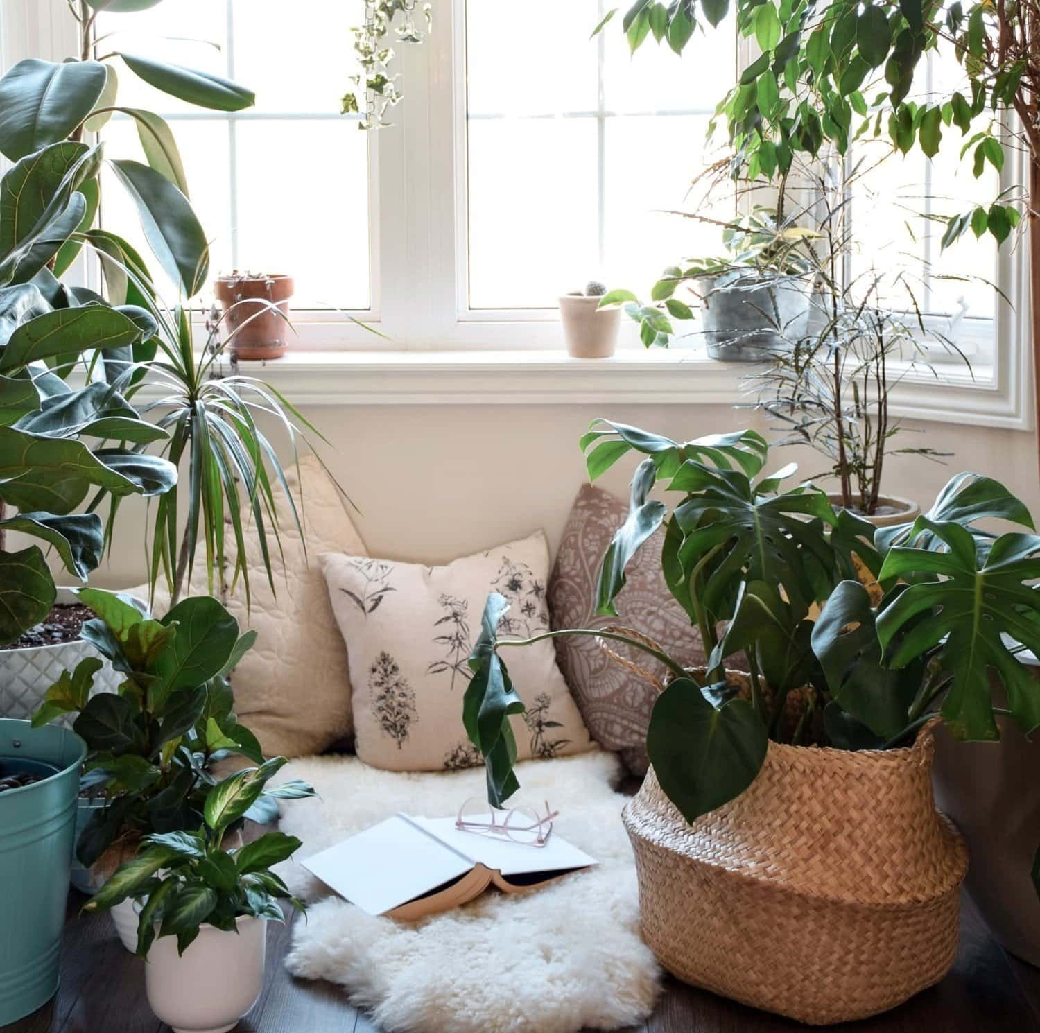 Plant-Packed Apartment Nook