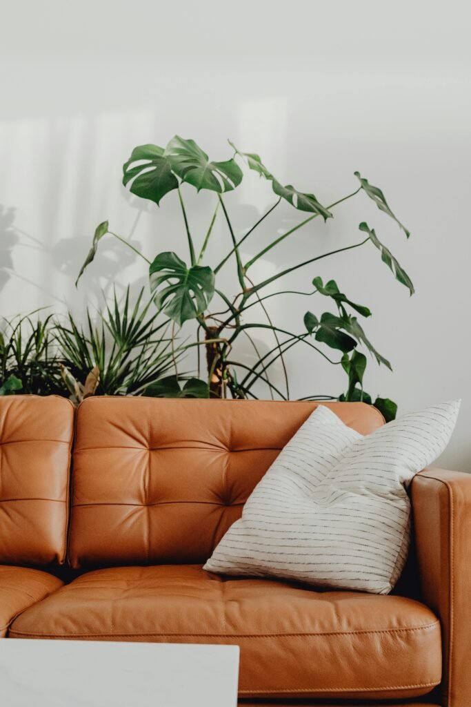 Orange Couch with Plant