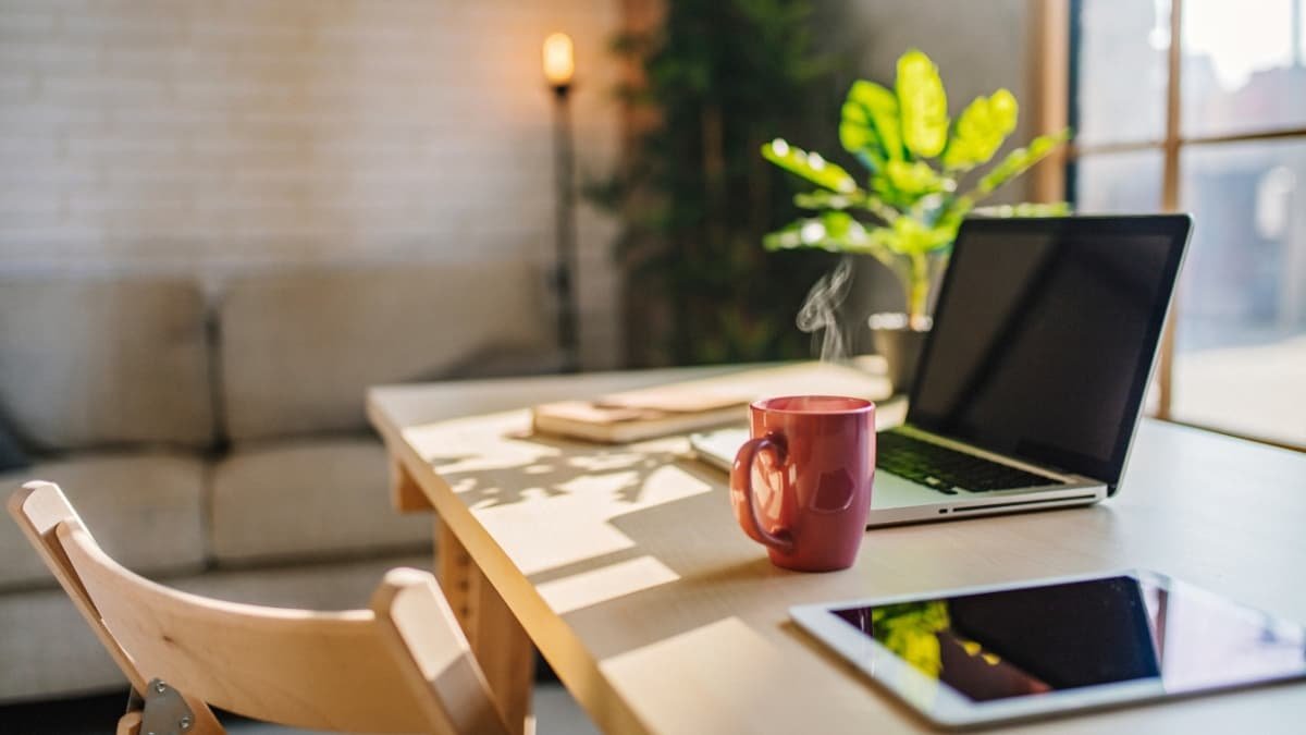 this shows what indoor plants fit best in your work from home office setup. the desk has a laptop, warm cup of coffee, and snake plants all in front of a big sunny picture window.
