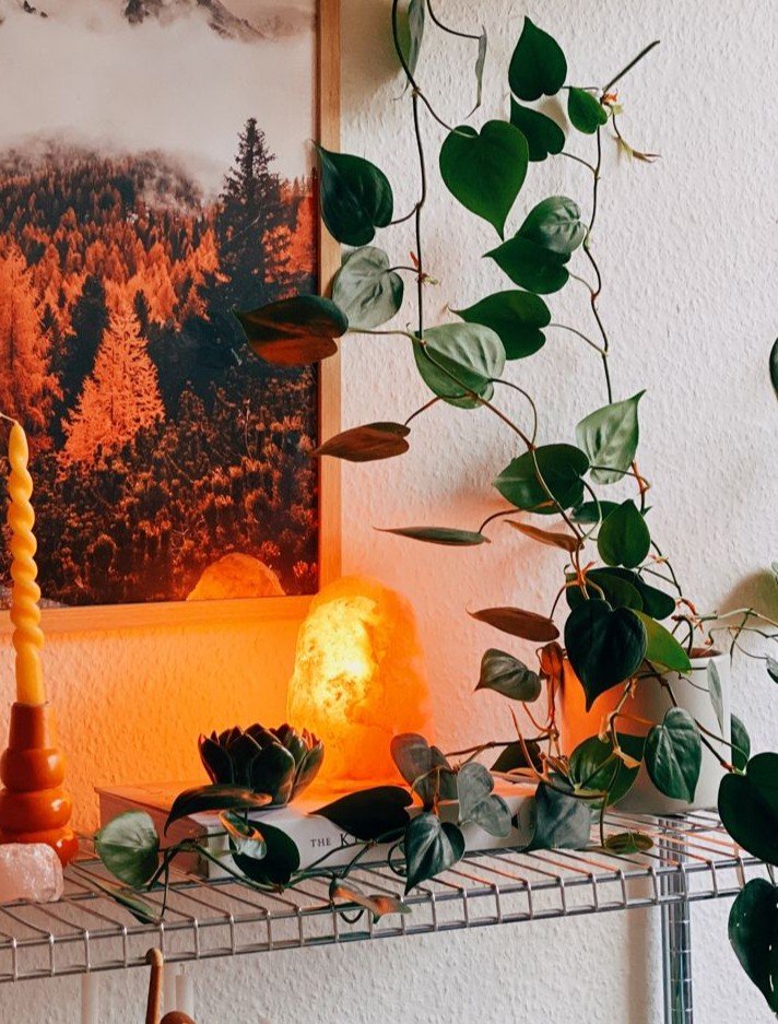 All Natural Himalayan Salt Lamp with Dimmer - Warm Glow for Cozy Plant Corners