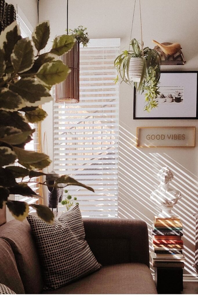 Cozy living room with macramé hanging planters, trailing greenery, and soft natural light — a perfect example of low-light indoor gardening in a small apartment.