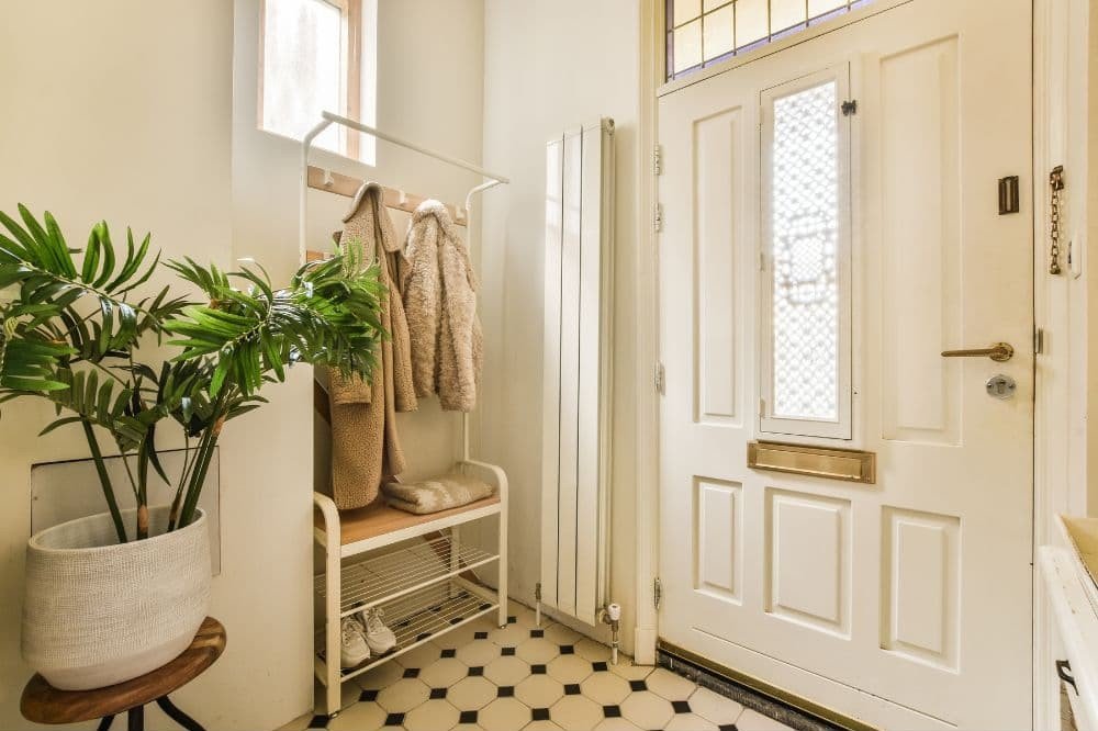Bright small entryway with a potted plant, coat rack, and cozy neutral decor creating a welcoming and functional space.
