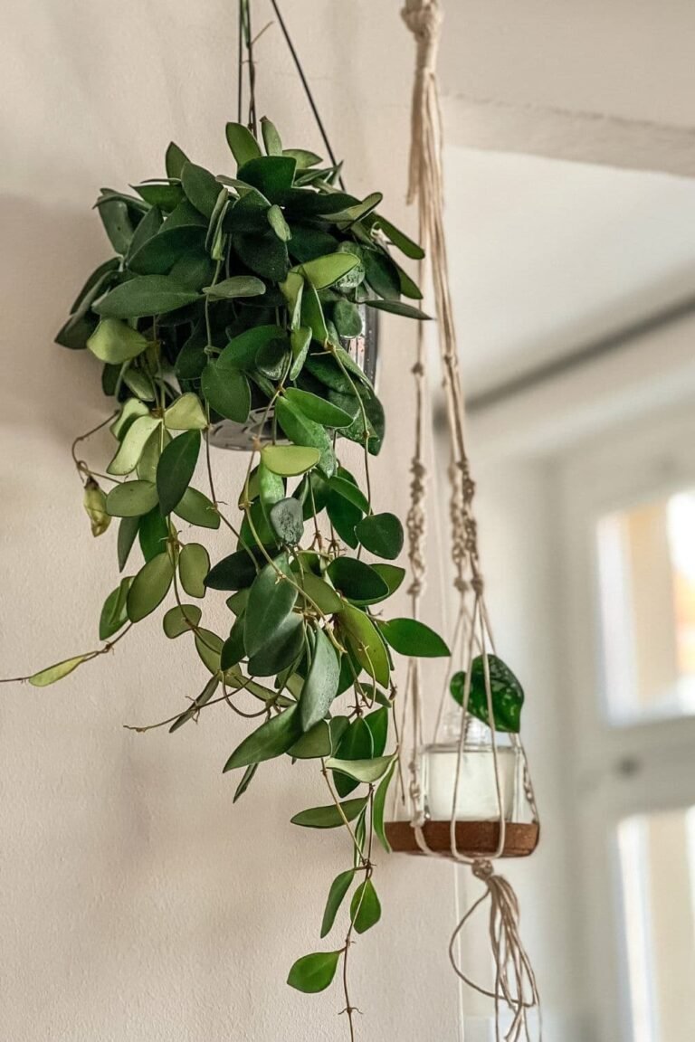 Macramé and woven hanging planters filled with trailing plants like ivy and greenery, creating a cozy boho indoor garden display.