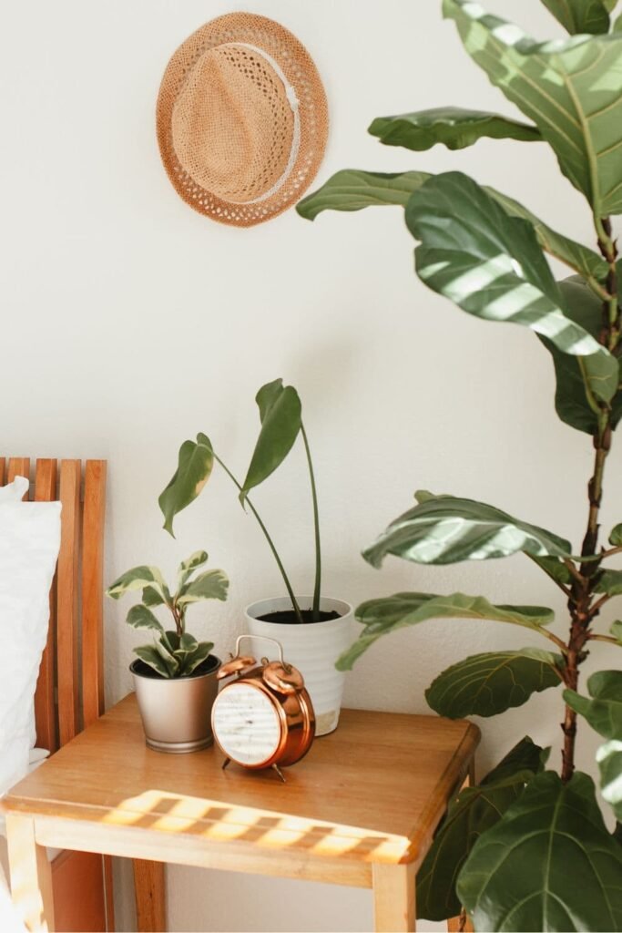 easy plant styling hacks shown in a small brightly lit apartment 
