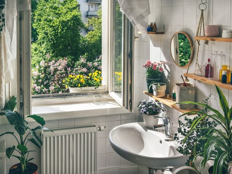 Small apartment bathroom with a cozy, plant-filled decor setup. Features include a white ceramic sink, wooden floating shelves, and low-maintenance indoor plants like spider plant, carnations, and purple flowers. Natural sunlight streams through an open window, enhancing the biophilic, modern aesthetic. Perfect inspiration for cozy small apartment bathroom decor ideas, modern small bathrooms with plants, and space-saving styling for renters.
