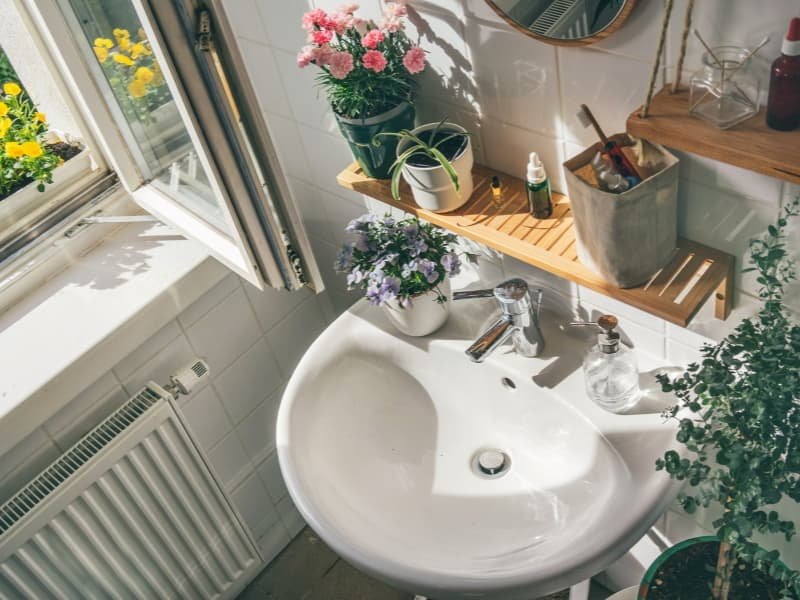 Small apartment bathroom with a cozy, plant-filled decor setup. Features include a white ceramic sink, wooden floating shelves, and low-maintenance indoor plants like spider plant, carnations, and purple flowers. Natural sunlight streams through an open window, enhancing the biophilic, modern aesthetic. Perfect inspiration for cozy small apartment bathroom decor ideas, modern small bathrooms with plants, and space-saving styling for renters.